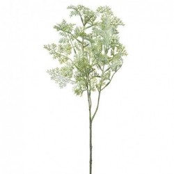 Armoise - Mr Plant - 60 cm